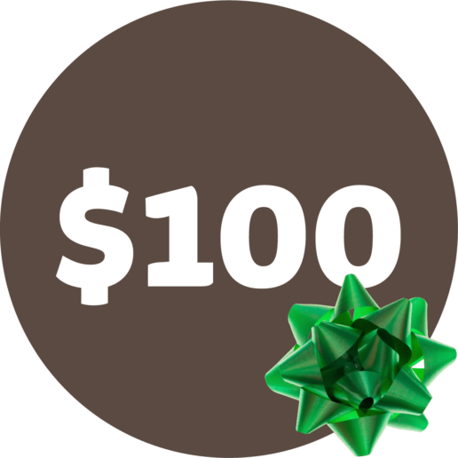 $100 gift Voucher
