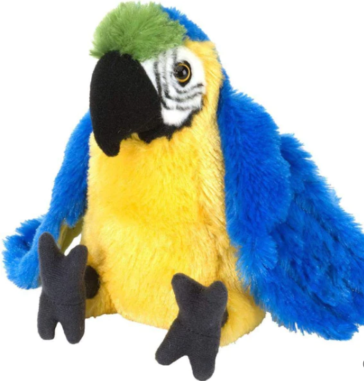 Blue/ Yellow Macaw - 30cm